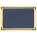 Screened Plate w/Gold Frosted Etched Border (7"x10")